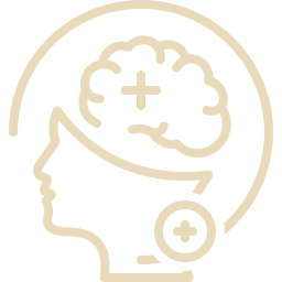brain